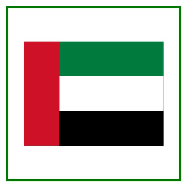 الصُّورَةُ 49